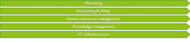 Support Processes in a Law Firm