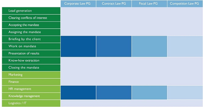 Process Model of a Law Firm
