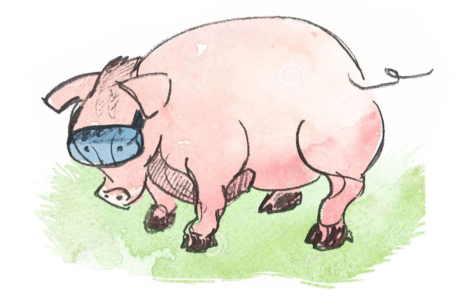 Trüffelschwein, AI, künstliche Intelligenz