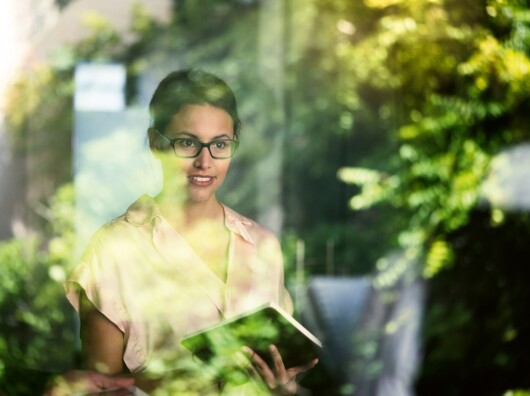 Nachhaltigkeit (ESG) für Kontrollfunktionen, ESG-Experte werden